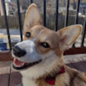 Meet your Posher, Dave